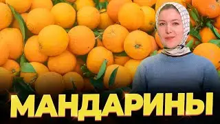 ЗНАКОМСТВО РОССИЯН С МАНДАРИНАМИ