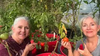Last Tour of the Greenhouse Before the Killing Cold Snap.😩
