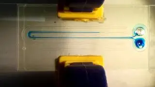 One step microfluidic device prototyping using a 3D printer