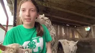 video 9