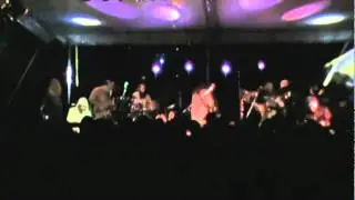 Terrapin Flyer - Birdsong