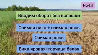 Сеем без вспашки. Вводим в оборот земли через рожь и вику.