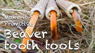 Bone tools 3: Primitive woodworking tools using beaver teeth 🦴