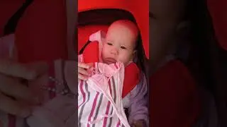 Финский залив, лето , отдых 2019 !