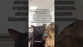 #идущийкреке