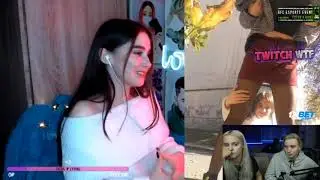 Modestal смотрит Twitch WTF