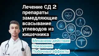 Лечение СД 2 типа. Препарат Глюкобай. Механизм действия!