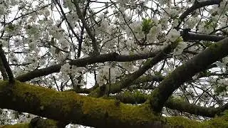 Красота!