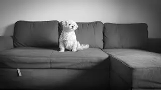 Underdog: 97 Tellerrand