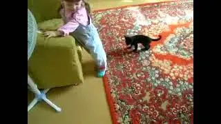 Боевая киса!
