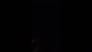 28 ноября 2023 г.