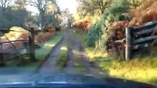 The road
