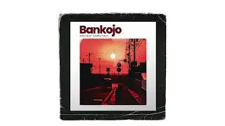 Free loop kit | Tems x wizkid Afrobeat Sample Pack | 2023 |Bankojo