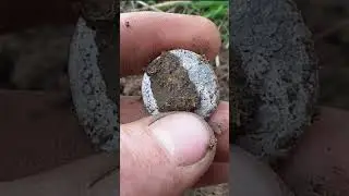 Богатые места! Нашел редкое серебро Екатерины 2! Раскопки с металлоискателем! 
