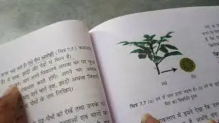 कक्षा-6 विषय-विज्ञान पाठ-7  (  पौधों को जानिए  )