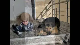 Вот такой наш шустренький Арсений