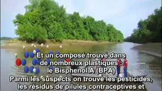 Bisphenol A, Fred Vom Saal, Strange days on planet earth
