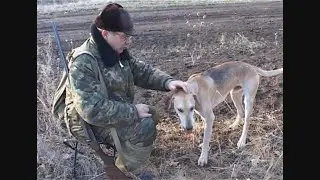 Охота с гончими.