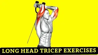 9 Best Long Head Triceps Exercises for Bigger, Stronger Arms