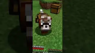 Introducing the armadillo!!! #minecraft