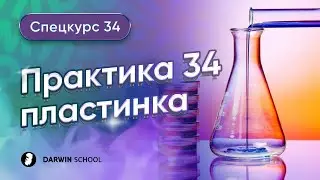 Тема №5: Практика 34. Пластинка
