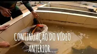 INACREDITÁVEL O TANTO DE PEIXE QUE TINHA DENTRO DESSA VALA