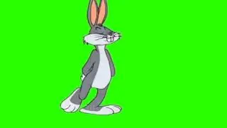 New green screen video | copyright free 