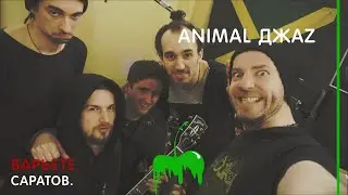 Что значит Animal Джаz?