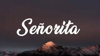 Shawn Mendes, Camila Cabello - Señorita (Lyrics)