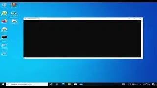 virus.py