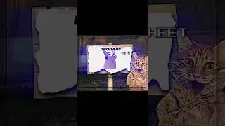 R.I.P Поп кэт