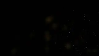 Particles Dirt Filth - Free Overlay Stock Footage