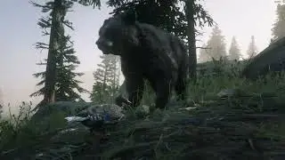 Fly with a Duck - RDR2