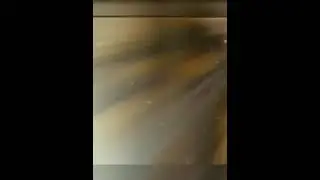 Берта пьёт , воду с крана .