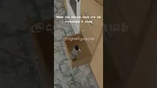 Я что страшный?!?! #рекомендации #мем #oioioi #standoff2 #oioi