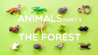Learning Animals Names and Sounds for Kids - Part 3: The Forest