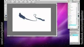 Corel Painter Tutorial: Overview for Photographers