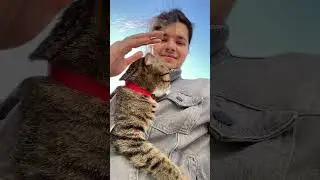 😻Это моя кошка Йода и наш первый выгул в году☝️