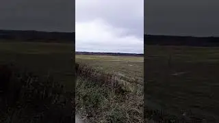 Просторы России