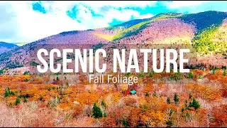 Conway 470 Club's Scenic Nature Railroad Excursion
