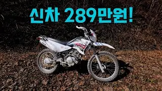 우리나라에서 가장 저렴한 듀얼바이크! 야마하 XTZ125