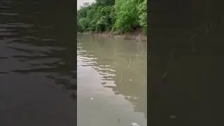 Hooks in the Water