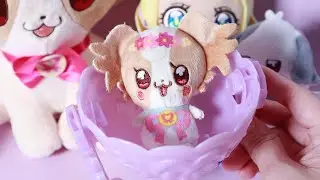 ニコさまのふしぎなたまごDXセット