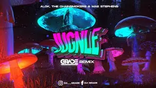 Alok, The Chainsmokers & Mae Stephens – Jungle (GRADE REMIX)