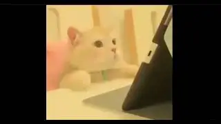 Discord Light mode be Like