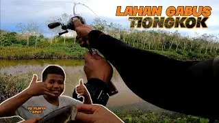 mancing ikan gabus kalimantan//spotnya tidak pernah dicasting