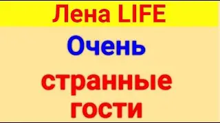 Лена LIFE. Обзор влогов. Интересные гости. 14 07 2024 Лена