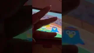 Noggin Moose and Zee 98 to 100 Move and Play