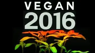 ВЕГАН 2016