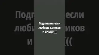 котики топ